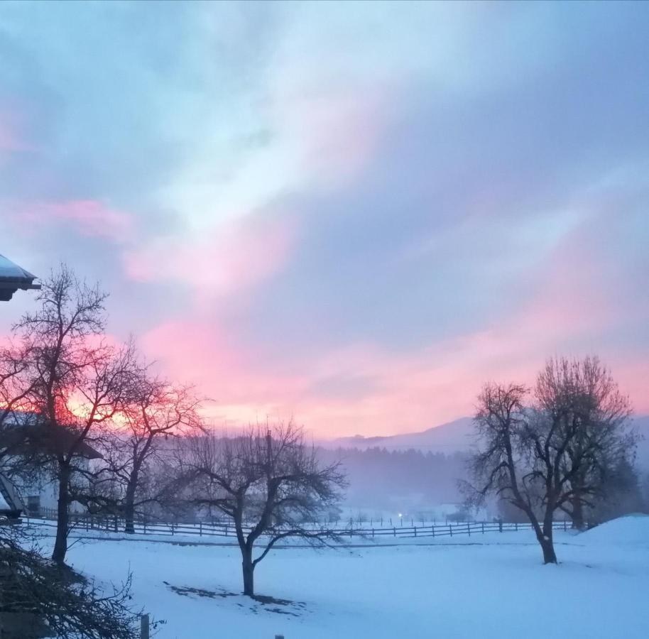 Fewo Fabiella Mit Balkon Millstatt Exteriér fotografie
